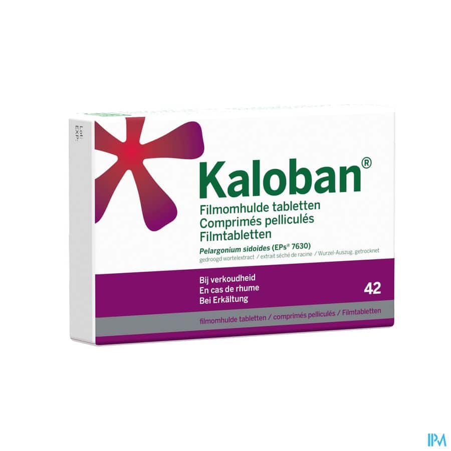 kaloban 42